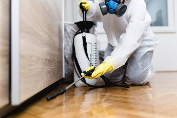 Best Best Pest Control Companies  in Nescopeck, PA