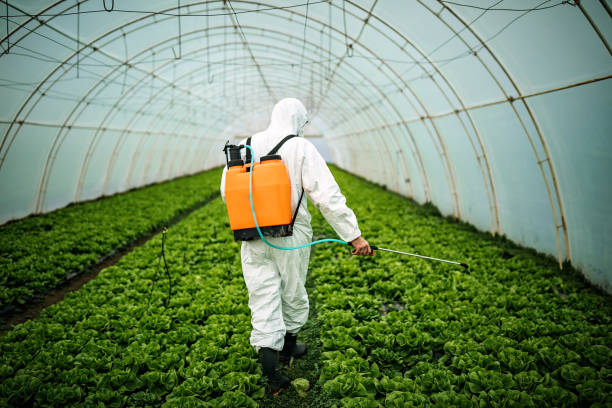 Pest Prevention Services in Nescopeck, PA