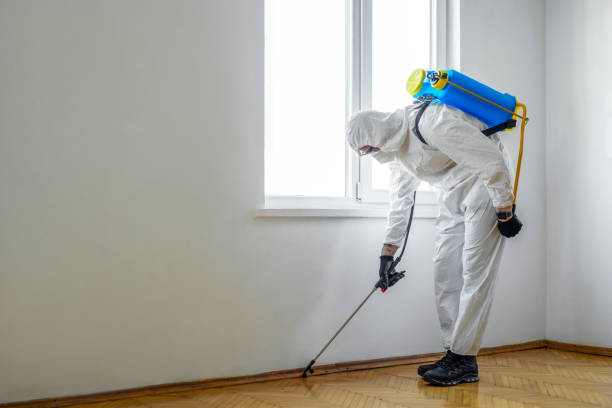 Professional Pest Control in Nescopeck, PA