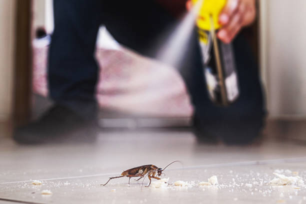 Best Flea Control Services  in Nescopeck, PA